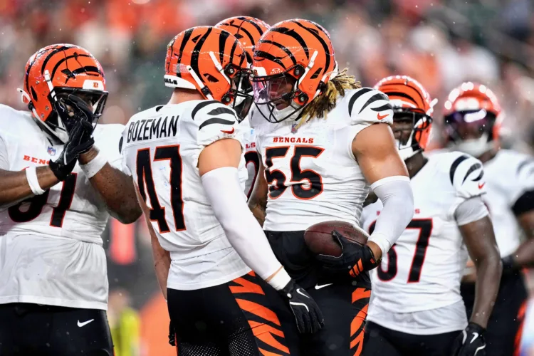Help on way for Bengals from first-year players